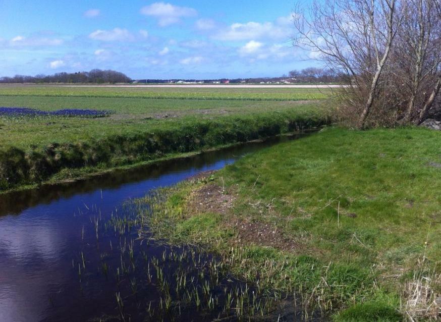 Sint Maartensvlotbrug Design Cabin Sint Maartenszee מראה חיצוני תמונה